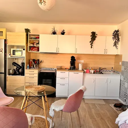 Privée à L'étage Dans Un Duplex Calme à Chantenay
